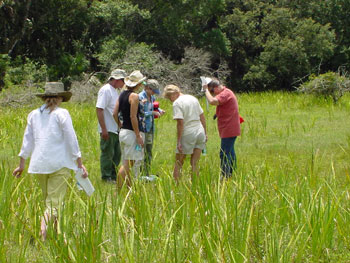 Members learning about tortoise foraging